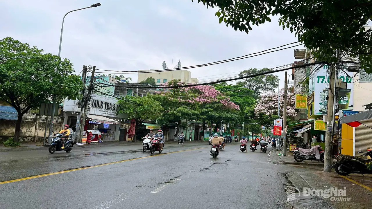 موجة حر شديد تجتاح دونغ ناي وسط غياب تام لفرص هطول الأمطار في المنطقة.